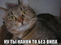  ну ты какой то без випа