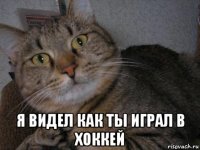  я видел как ты играл в хоккей