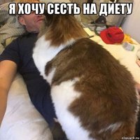 я хочу сесть на диету 