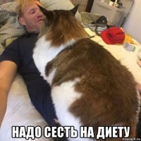  надо сесть на диету