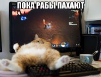 пока рабы пахают 