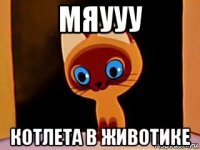 мяууу котлета в животике