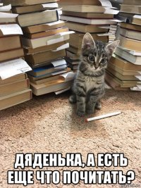  дяденька, а есть еще что почитать?