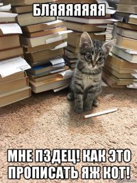 бляяяяяяя мне пздец! как это прописать яж кот!