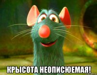  крысота неописюемая!