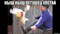 кыш кыш петушец улетай 