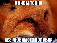 у лисы тоска без любимого колобка