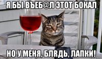 я бы въеб@л этот бокал но у меня, блrдь, лапки!