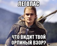 леголас что видит твой орлиный взор?
