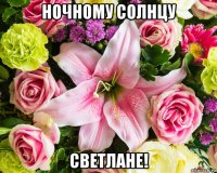 ночному солнцу светлане!