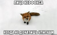лицо кеофокса когда не донатишь улиткам