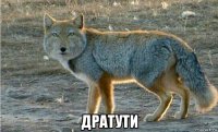  дратути