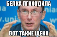 белка пгиходила вот такие щеки