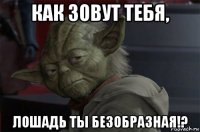 как зовут тебя, лошадь ты безобразная!?
