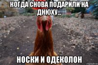 когда снова подарили на днюху... носки и одеколон