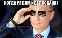 когда рядом идет собака ! 