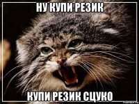 ну купи резик купи резик сцуко