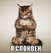  я спокоен