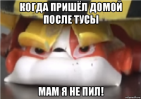 когда пришёл домой после тусы мам я не пил!