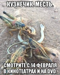 кузнечик. месть. смотрите с 14 февраля в кинотеатрах и на dvd.