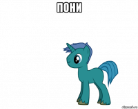 пони 