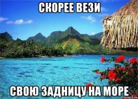 скорее вези свою задницу на море