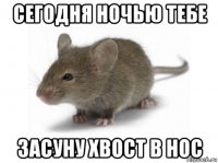 сегодня ночью тебе засуну хвост в нос