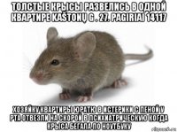 толстые крысы развелись в одной квартире kaštonų g . 27. pagiriai 14117 хозяйку квартиры юратю в истерики с пеной у рта отвезли на скорой в психиатрическую когда крыса бегала по ноутбуку