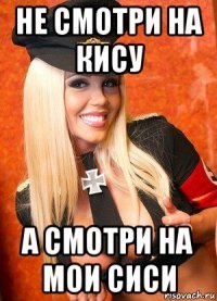 не смотри на кису а смотри на мои сиси
