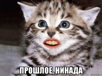  прошлое, нинада