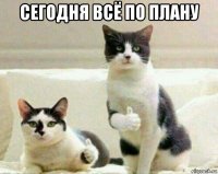 сегодня всё по плану 