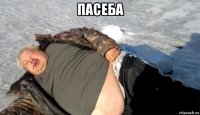пасеба 