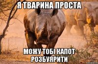 я тварина проста можу тобі капот розбуярити