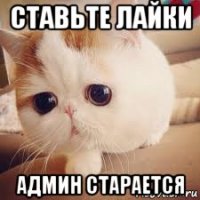 ставьте лайки админ старается