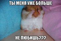 ты меня уже больше не любишь???