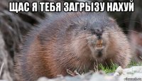 щас я тебя загрызу нахуй 