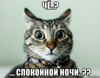 чё..? ... спокойной ночи..??