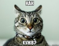 как хужв?