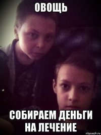 овощь собираем деньги на лечение