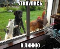 уткнулись в линию