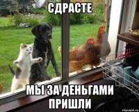сдрасте мы за деньгами пришли