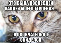 это была последней каплей моего терпения... я окончательно обиделся