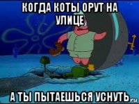 когда коты орут на улице а ты пытаешься уснуть