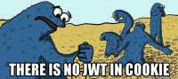  there is no jwt in cookie