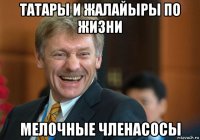 татары и жалайыры по жизни мелочные членасосы