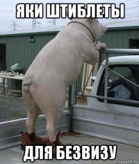 яки штиблеты для безвизу