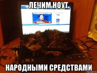 лечим ноут народными средствами