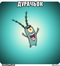 дурачьок 