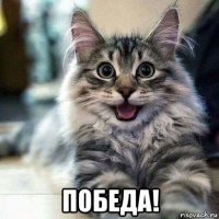  победа!