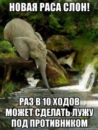 новая раса слон! раз в 10 ходов может сделать лужу под противником